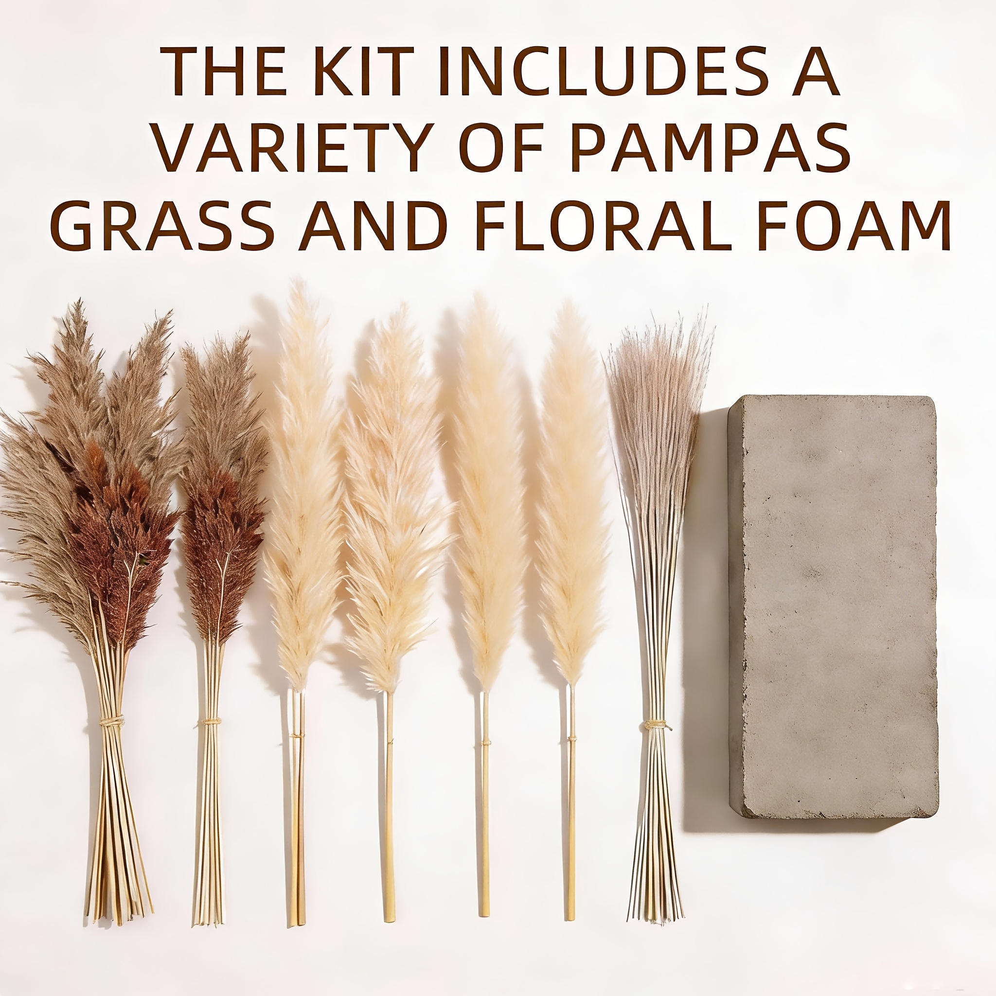 Pampas Grass Decor - Decorative Wall Arrangement of Pampas Grass