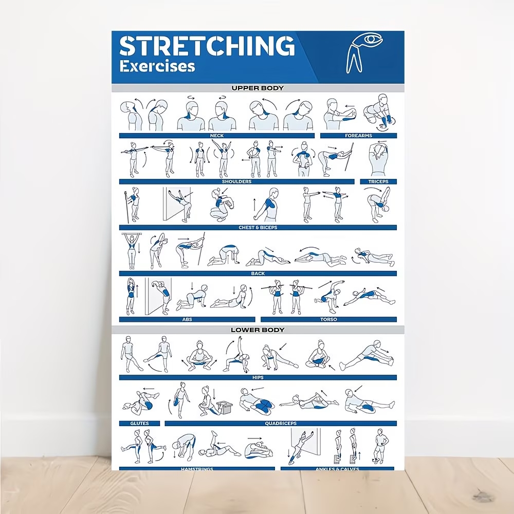 Home Decor Aesthetic - Modern Labeled Full-Body Stretches For Gym