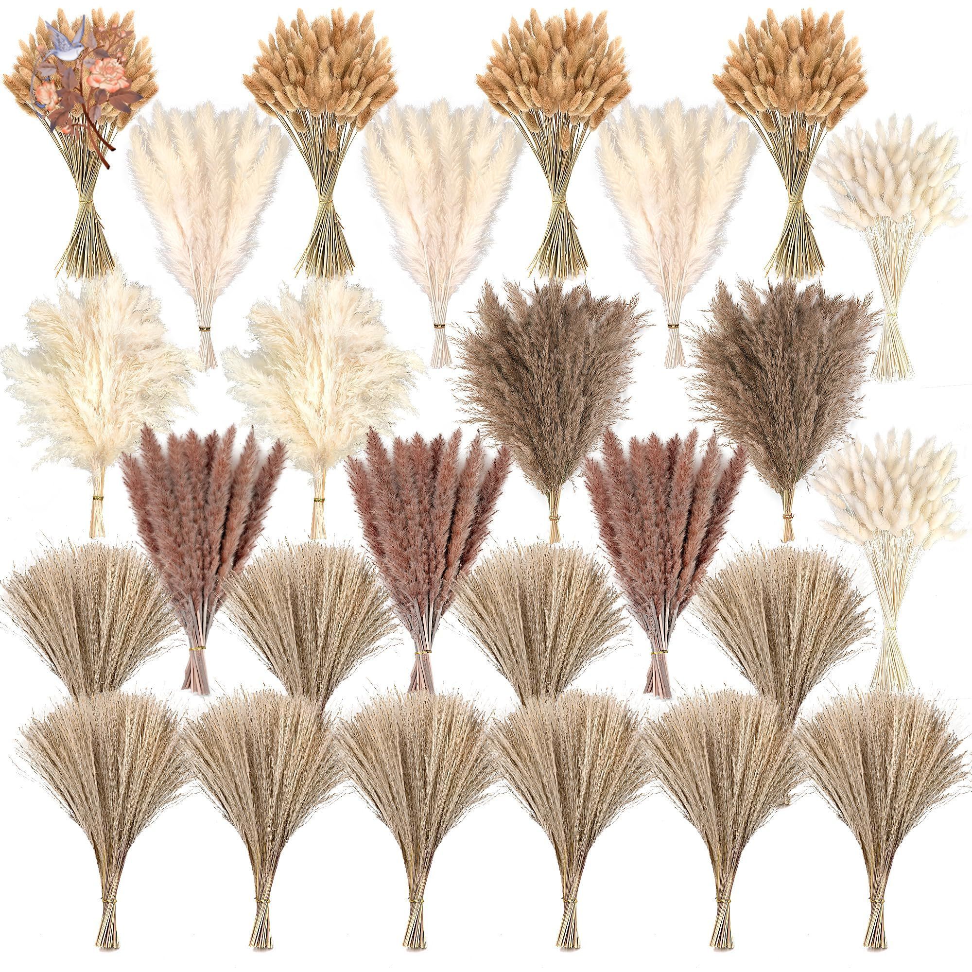 Pampas Grass Decor - 300Pcs Natural Large Pampas Grass Dried