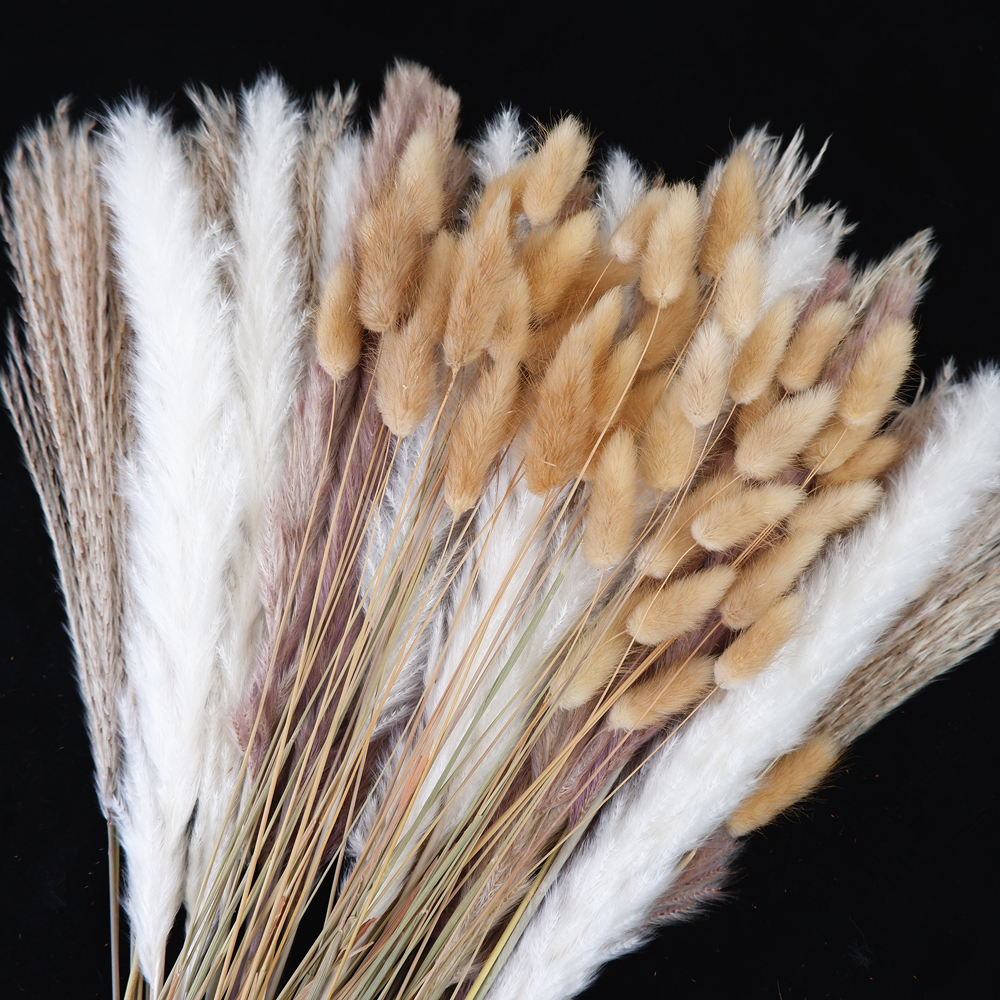 Pampas Grass Decor - Dried Pampas Grass Decor 80-110 PCS
