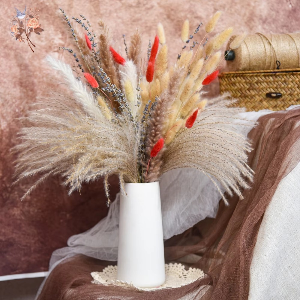 Natural Pampas Lavender Dried  - Pampas Grass Decor ulasan dan harga