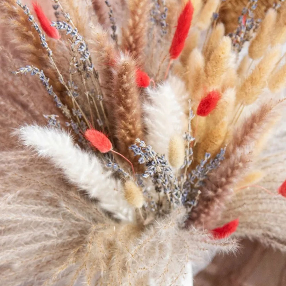 Natural Pampas Lavender Dried  - Pampas Grass Decor ulasan dan harga