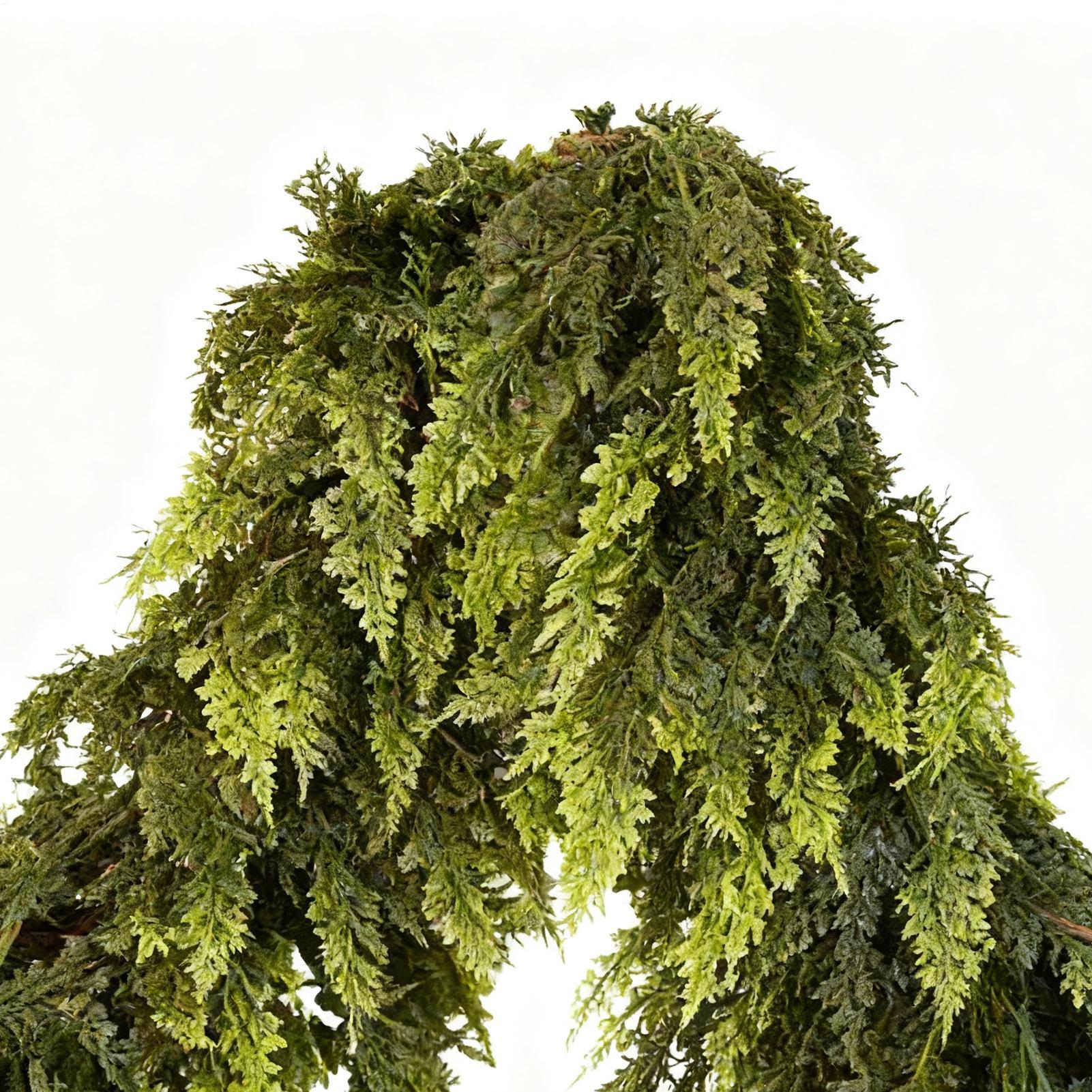 Christmas Cedar Garland Winter - Home Decor Garland ulasan dan harga