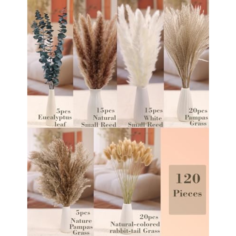 120 PCS Dried Pampas Grass, Dr - Pampas Grass Decor ulasan dan harga