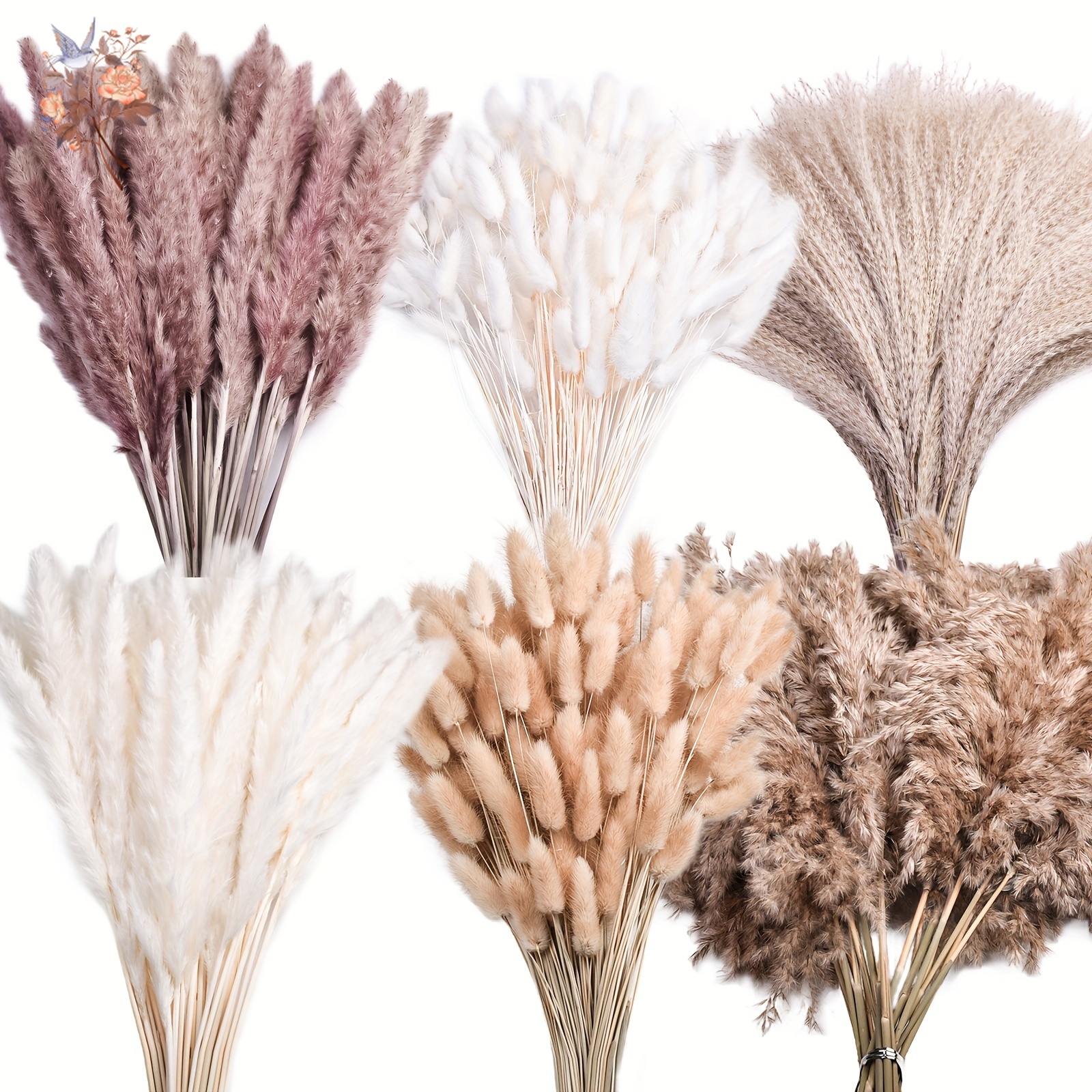140Pcs Fluffy Large Pampas Bun - Pampas Grass Decor ulasan dan harga