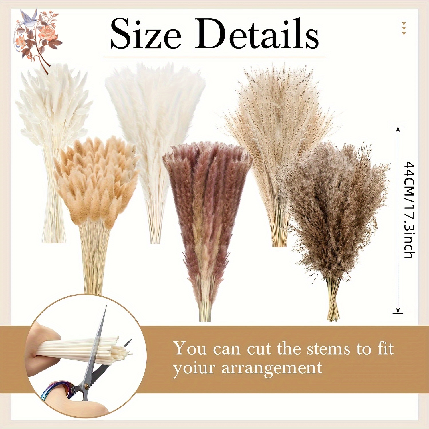 140Pcs Fluffy Large Pampas Bun - Pampas Grass Decor ulasan dan harga