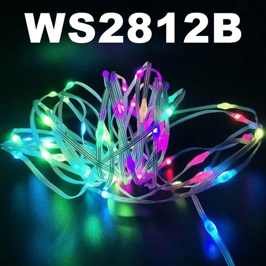 WS2812B LED Light String Smart - Home Decor Garland ulasan dan harga