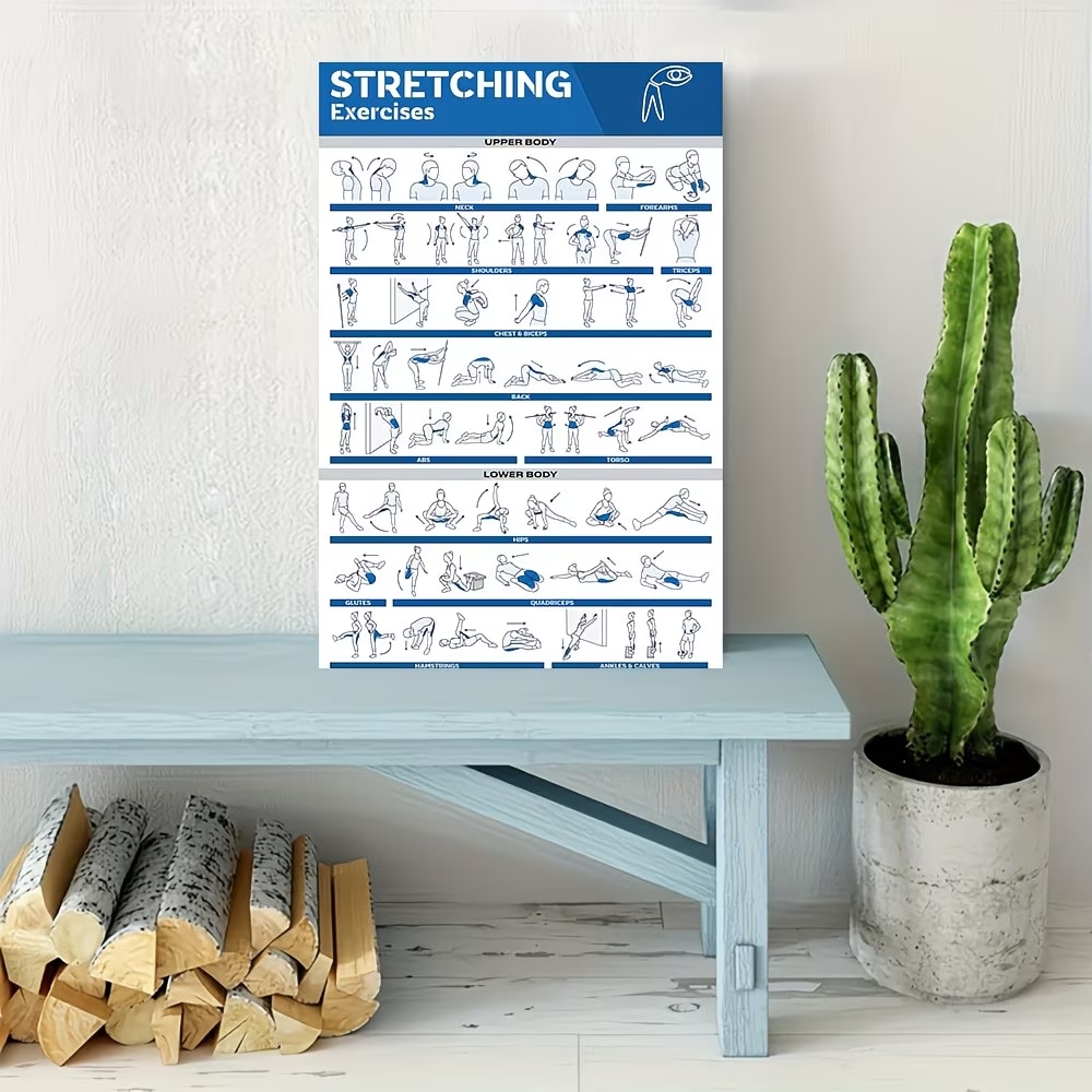 Modern Labeled Full-Body Stret - Home Decor Aesthetic ulasan dan harga