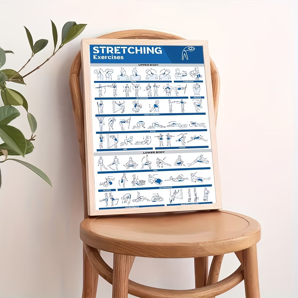 Modern Labeled Full-Body Stret - Home Decor Aesthetic ulasan dan harga