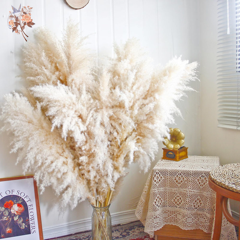 110cm 10/30Pcs Large Fluffy Na - Pampas Grass Decor ulasan dan harga