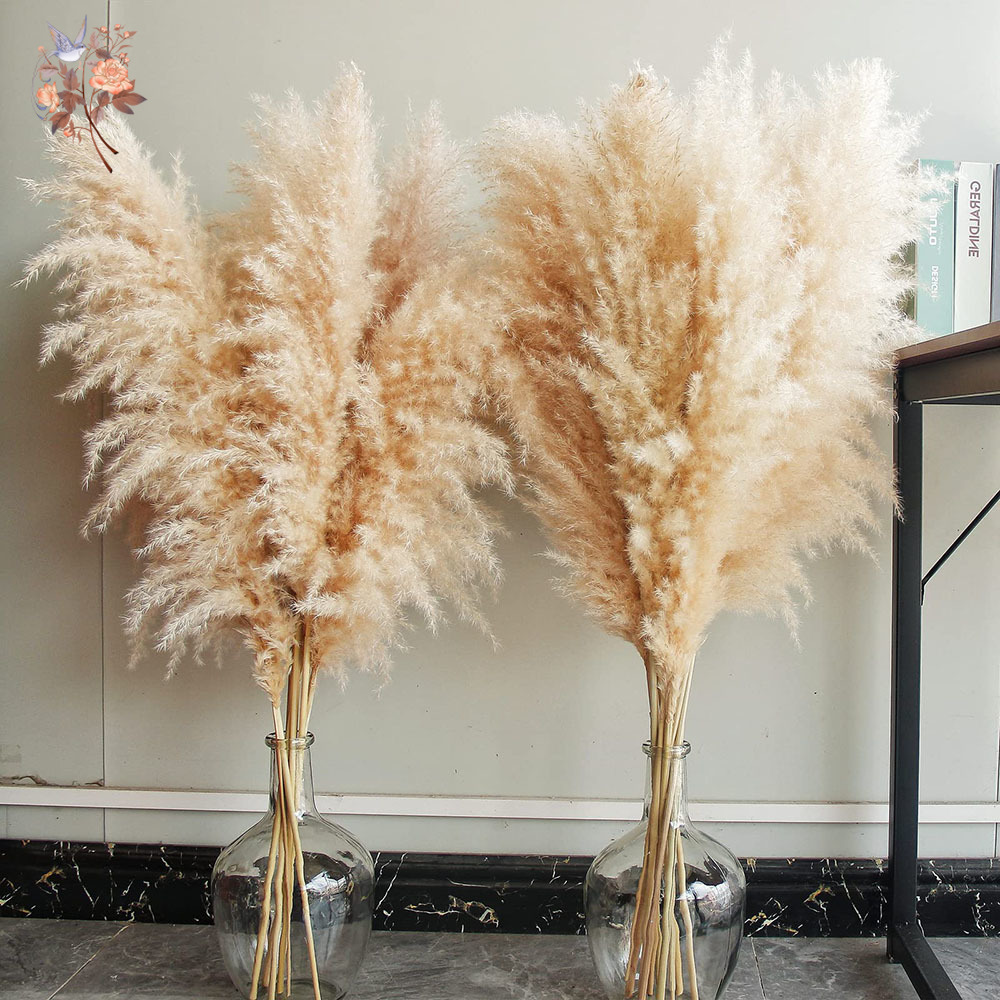 110cm 10/30Pcs Large Fluffy Na - Pampas Grass Decor ulasan dan harga