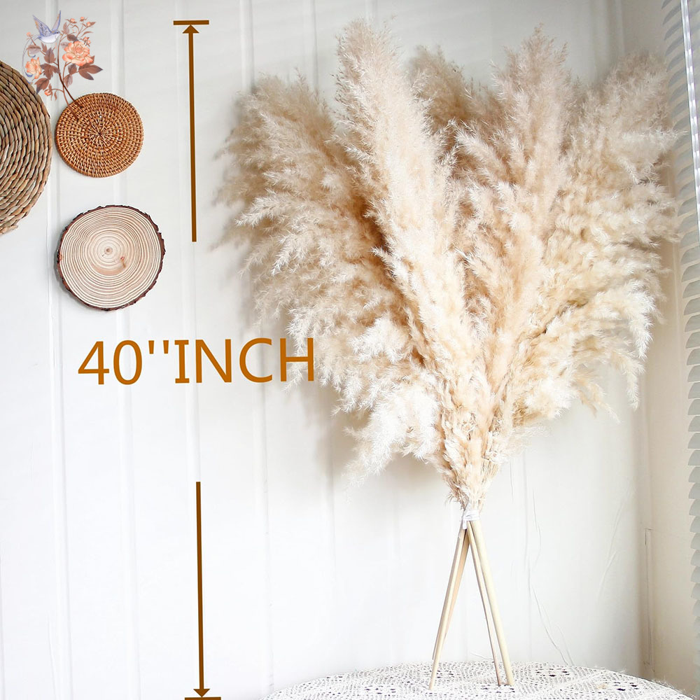 110cm 10/30Pcs Large Fluffy Na - Pampas Grass Decor ulasan dan harga