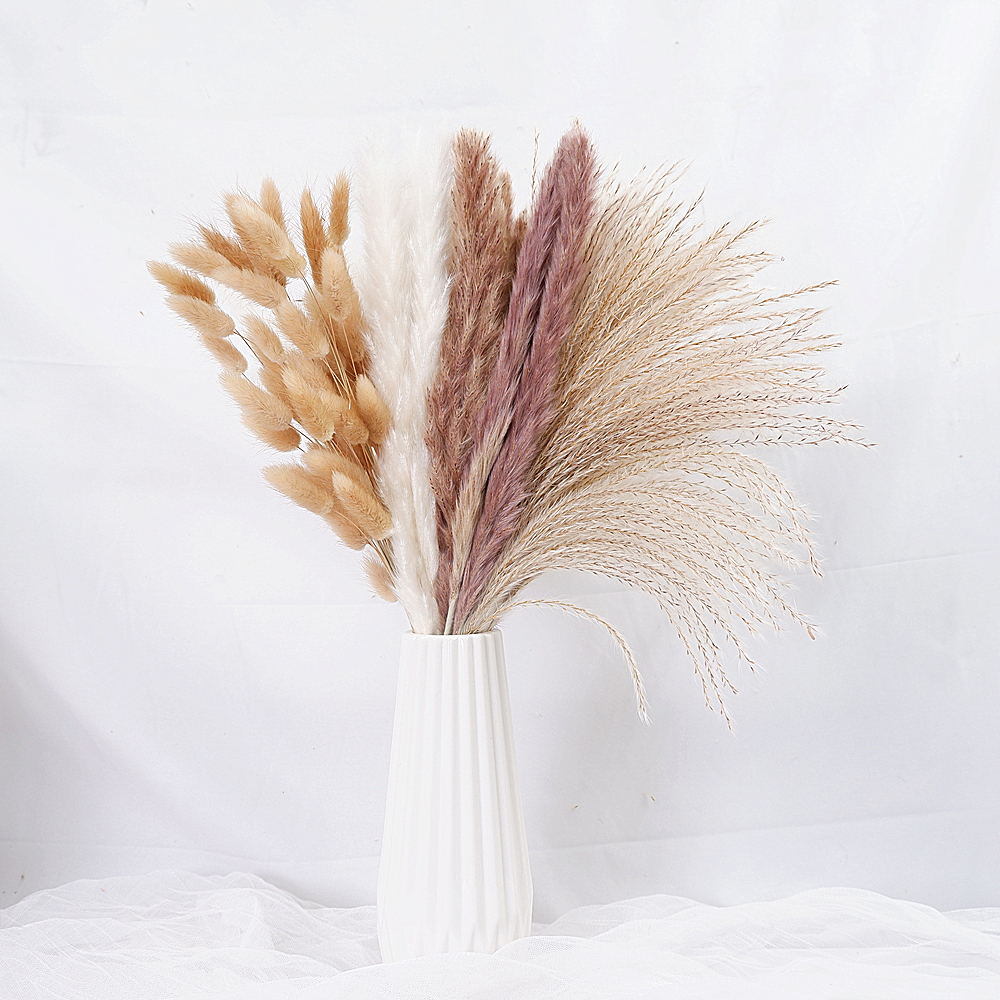 Dried Pampas Grass Decor 80-11 - Pampas Grass Decor ulasan dan harga
