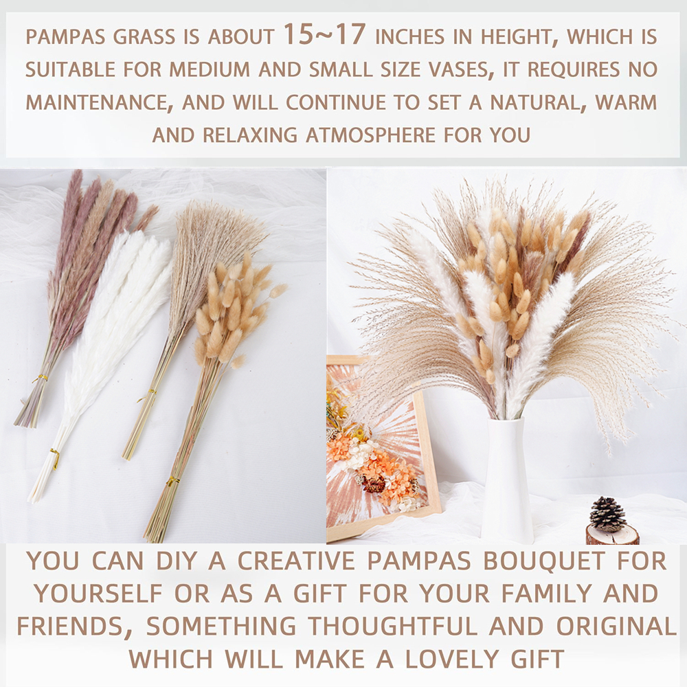 Dried Pampas Grass Decor 80-11 - Pampas Grass Decor ulasan dan harga